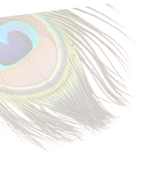 Krishna feather