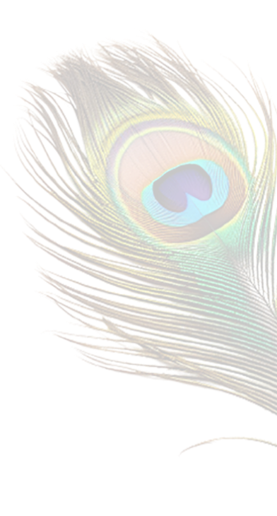 krishna Feather